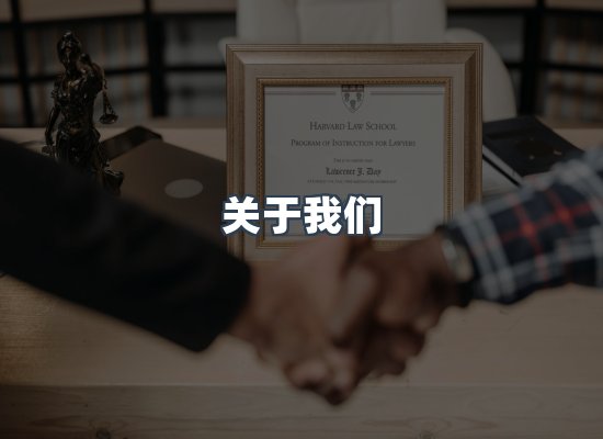专业团队
